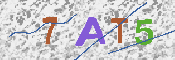CAPTCHA Image